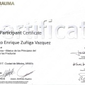 Ampliar imagen: certificate 3