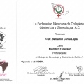 Ampliar imagen: certificate 1