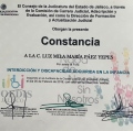 Ampliar imagen: certificate 27