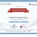 Ampliar imagen: certificate 10