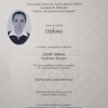Ampliar imagen: certificate 5