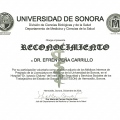 Ampliar imagen: certificate 13