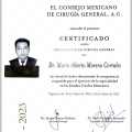 Ampliar imagen: certificate 2