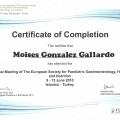 Ampliar imagen: certificate 13