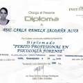 Ampliar imagen: certificate 3