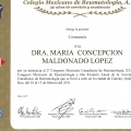 Ampliar imagen: certificate 29