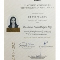 Ampliar imagen: certificate 3