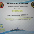 Ampliar imagen: certificate 9