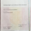 Ampliar imagen: certificate 8