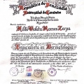 Ampliar imagen: certificate 15