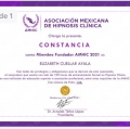 Ampliar imagen: certificate 8