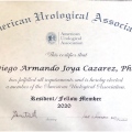 Ampliar imagen: certificate 2