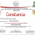 Ampliar imagen: certificate 43
