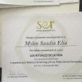 Ampliar imagen: certificate 14