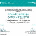 Ampliar imagen: certificate 3