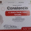 Ampliar imagen: certificate 3