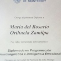 Ampliar imagen: certificate 19