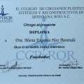 Ampliar imagen: certificate 2