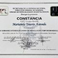 Ampliar imagen: certificate 23