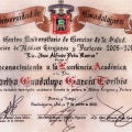 Ampliar imagen: certificate 28