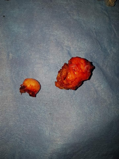 Carlos Alberto Servin Hernandez-12