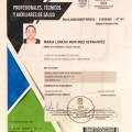 Ampliar imagen: certificate 5
