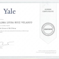 Ampliar imagen: certificate 10