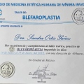Ampliar imagen: certificate 8
