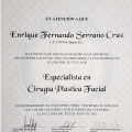 Ampliar imagen: certificate 3