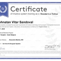 Ampliar imagen: certificate 2
