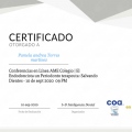 Ampliar imagen: certificate 3