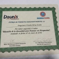 Ampliar imagen: certificate 6