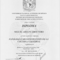 Ampliar imagen: certificate 6