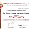Ampliar imagen: certificate 20