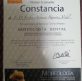 Ampliar imagen: certificate 15