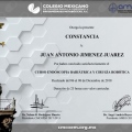 Ampliar imagen: certificate 6