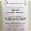 Ampliar imagen: certificate 23