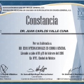 Ampliar imagen: certificate 5