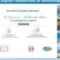 Ampliar imagen: certificate 31
