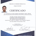 Ampliar imagen: certificate 9