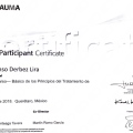 Ampliar imagen: certificate 6