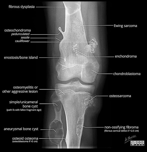 Jaime Galvan Alaniz-12