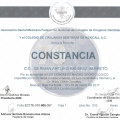 Ampliar imagen: certificate 56