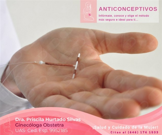 Priscila Hurtado Silvas-18