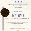 Ampliar imagen: certificate 6