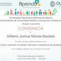 Ampliar imagen: certificate 5