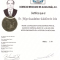Ampliar imagen: certificate 5