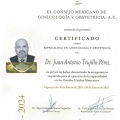 Ampliar imagen: certificate 4