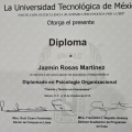 Ampliar imagen: certificate 5