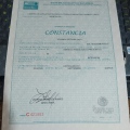 Ampliar imagen: certificate 6